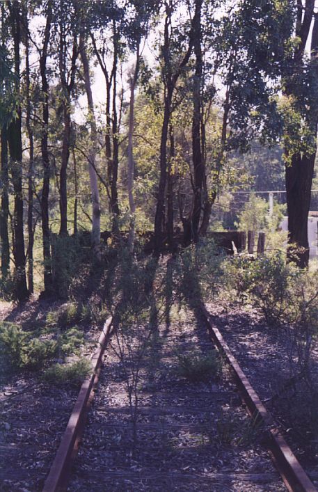 
The buffer stop at the end of the branch, several hundred metres north
of Ropes Creek Station.
