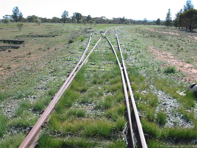
The south junction of Roto triangle, looking directly towards the Broken Hill
line about 300m away.
