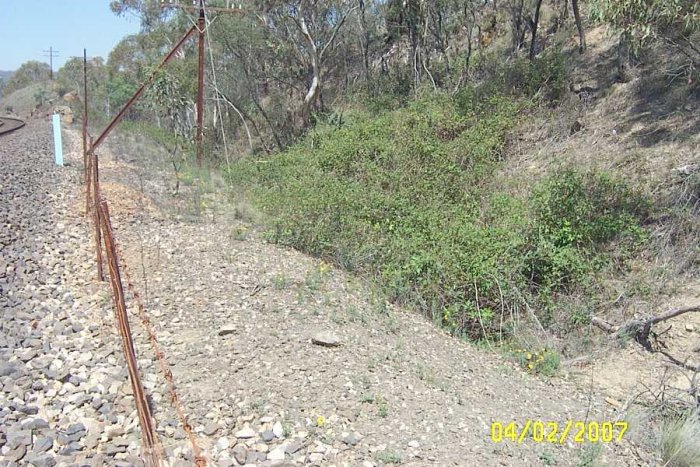 The original line went through a cutting which is now very overgrown. This is at approx the 184km post.