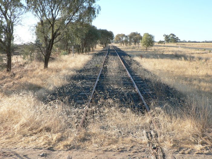 The view looking south towards Tocumwal.