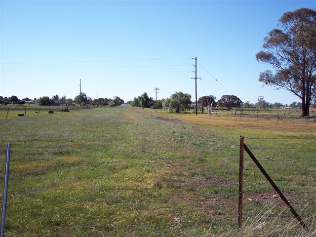 
A narrow paddock which was once the access road from Wyalong to the station.
