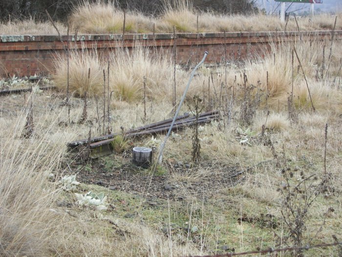 Remains of rail in platform vicinity.