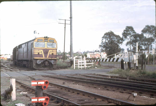 44209 on the North Mail running 5 hours late passes the gates at Taree North.