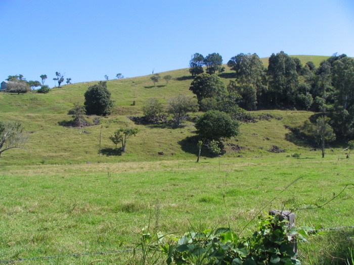 A view of the path cut into the hillside near Teven.  The line came from Ballina to the left and headed towards Booyong on the right.