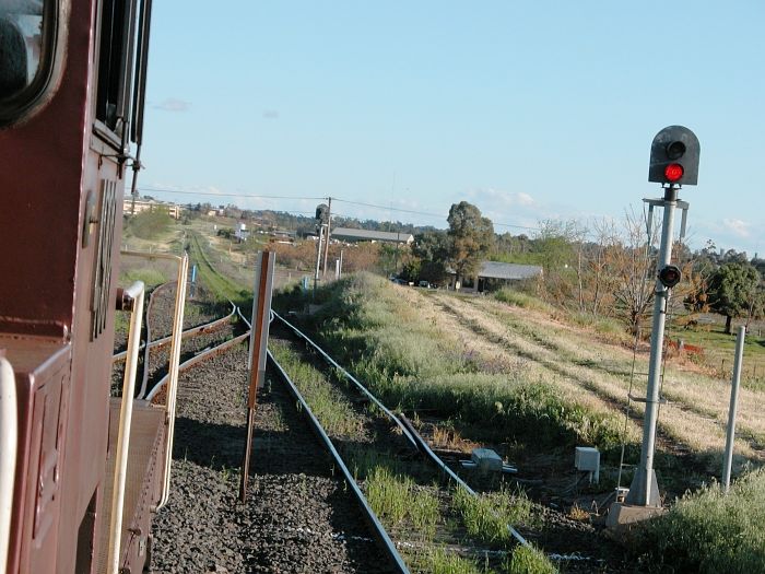 
4908 waits on the Merrygoen Branch for permission to proceeed to
Dubbo. The Coonamble branch line is on the right.
