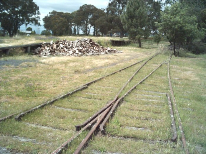 The goods loading bank and some of the remaining tracks looking south towards the station location from within the yards.