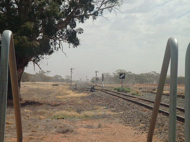 
Looking west, the line to the left of the junction is to Naradhan, that
to the right is to Lake Cargelligo.
