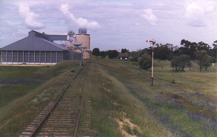 
This view shows the approach to the silo from the buffer stop on
the end of the elevated silo siding.  The line to the right is the
main line.  The town of Urana is behind the trees in the right
background.
