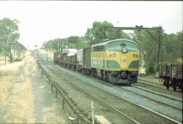 4201 in patriotic green and gold trundles into Uranquinty yard with a short freight from the south in 1980. Even the well-utilised "S" trucks still were in use.