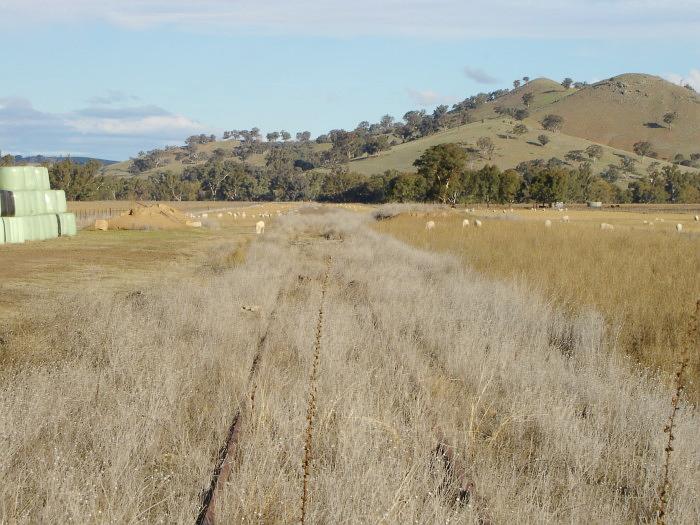 The view looking towards Tumut.  The platform bank is visible on the right hand side of the track.