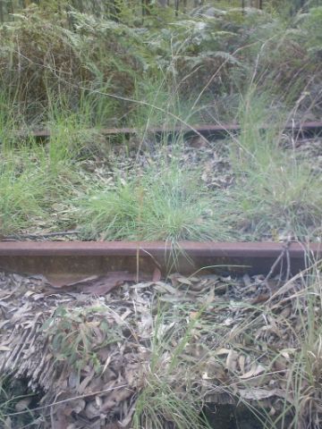 A closer view of the intact trackwork.