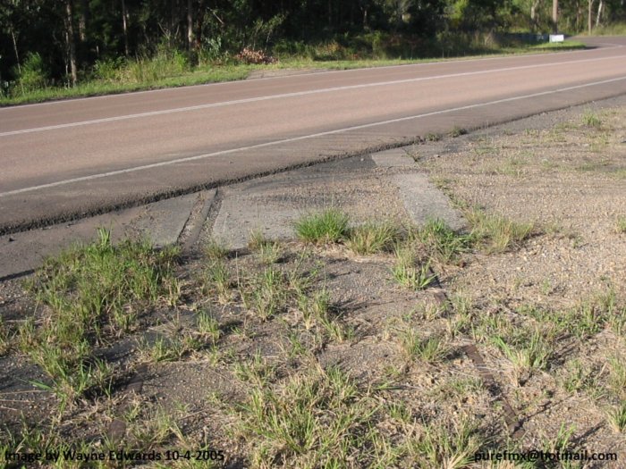 The place where the line crosses a coal road near the Awaba State mine.