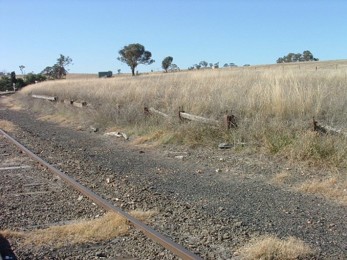 
The decaying remains of the platform, looking east towards Blayney.
