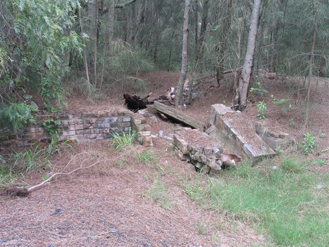 
Remains from Whitburn Colliery on the small hill adjacent to Anvil Creek.
