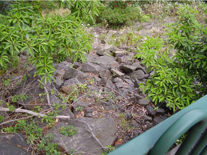 The view of the rock reinforcement used to avoid land slips next to the down platform at Wombarra.