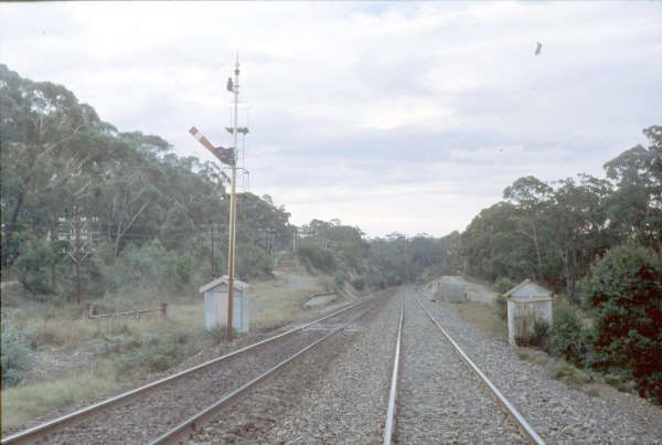 Yanderra station site in 1980 still shows the loading dock looking south.