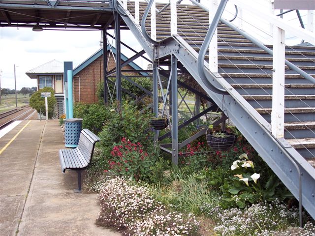 
The well-maintained gardens at the up end of the main platform.  The
signal box is visible at the end of the platform.

