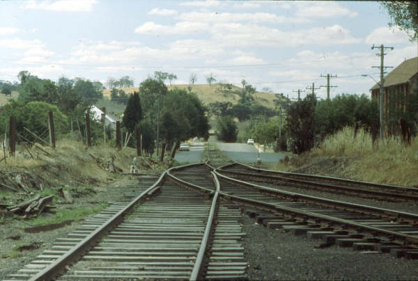 Looking along Dutton St. from the start of the Yass Town yard in 1980. Many a short train rumbled along here.
